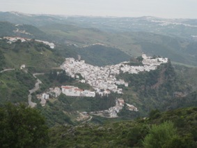 Casares
