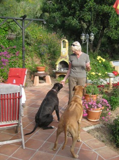 Ursel und Tasco