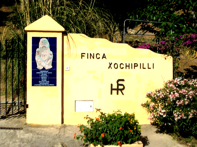Dios Xochipilli